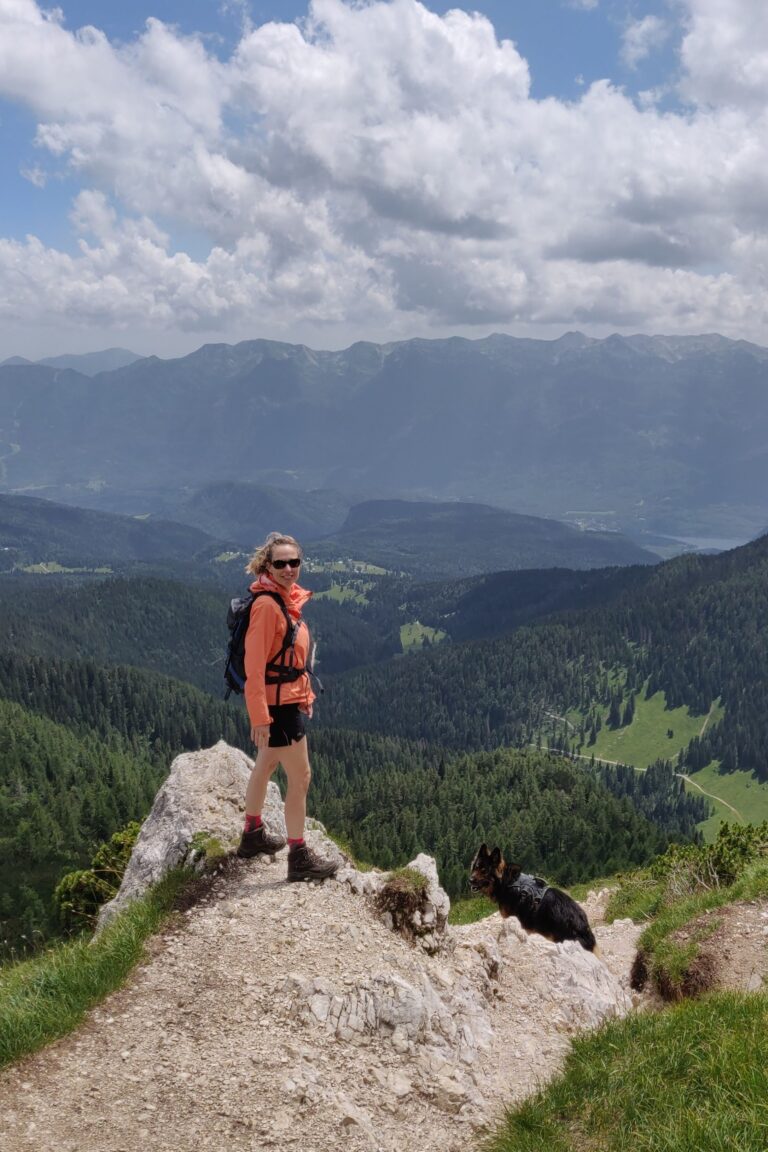 Bergtop Triglav National park met hond