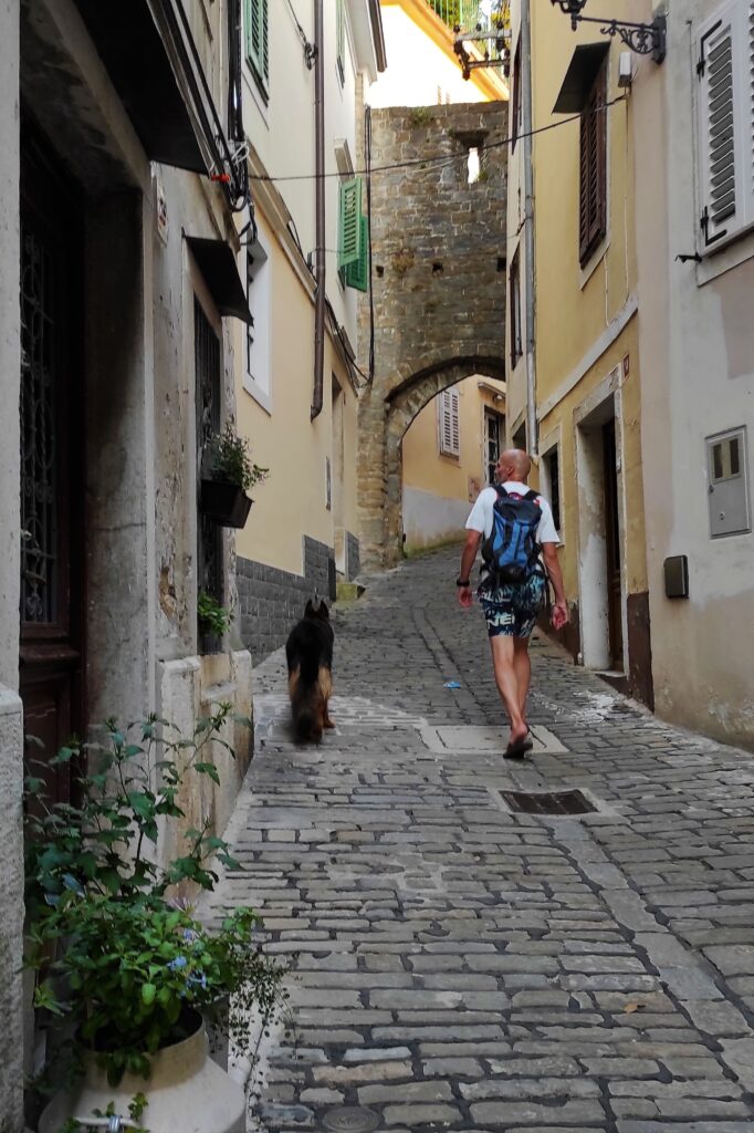 Wandeling Piran met hond
