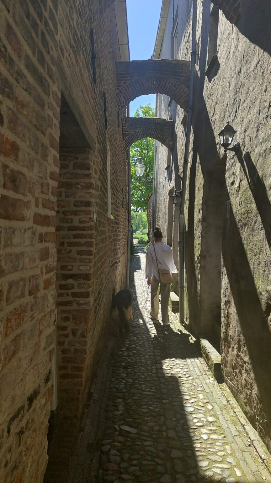 Met je hond naar Deventer