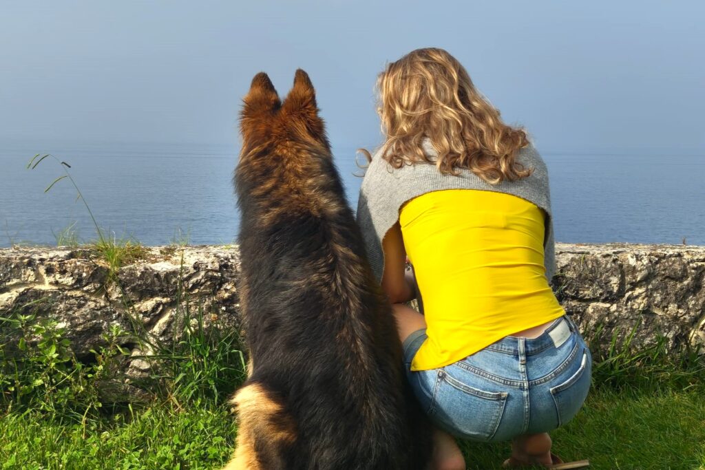 Noord-Spanje met hond